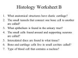 Tissue Worksheet Section A Intro to Histology as Well as Großzügig Histology Quiz Anatomy and Physiology Ideen Menschliche