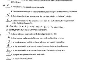 Tools Of the Federal Reserve Worksheet Answer Key Along with Groß Anatomy and Physiology Skin Worksheet Ideen Menschliche