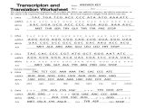 Transcription and Translation Worksheet and Month April 2018 Wallpaper Archives 45 Unique Mass Air Flow Sensor