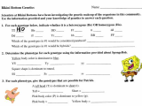 Transcription Practice Worksheet Also Bikini Bottom Genetics Worksheet