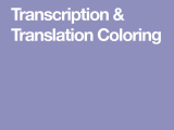 Transcription Translation Worksheet Along with Transcription & Translation Coloring