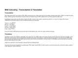 Transcription Worksheet Answer Key Also Dna Coloring Transcription and Translation Answer Key