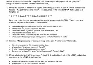 Transcription Worksheet Answer Key as Well as Worksheet Dna Rna and Protein Synthesis Best Chapter12 Packet