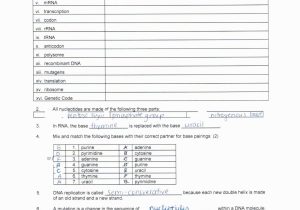 Transcription Worksheet Answer Key as Well as Worksheet Worksheet Dna Rna and Protein Synthesis Picture