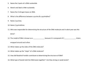 Transcription Worksheet Answer Key or 37 Luxury Dna Rna and Protein Synthesis Worksheet Answer Key