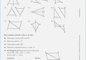 Triangle Congruence Worksheet 1 Answer Key with Congruent Triangles Worksheet Grade 9 Kidz Activities