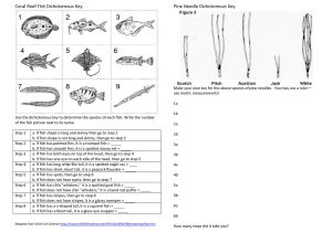 Triple Beam Balance Worksheet and Dichotomous Key Practice Document Sample 6th Grade
