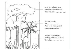 Tropical Rainforest Worksheet Along with Free Rainforest Worksheets for Kindergarten Animals Coloring Pages