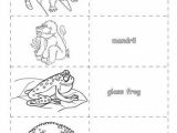 Tropical Rainforest Worksheet Also Biome Worksheet Tropical Rainforest Biome Worksheets and Printables