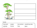 Tropical Rainforest Worksheet and 69 Best Save the Rainforests Images On Pinterest