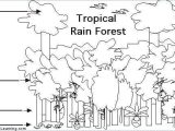 Tropical Rainforest Worksheet with Free Rainforest Worksheets for Kindergarten Animals Coloring Pages