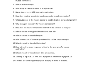 Types Of Chemical Bonds Worksheet and Schön Anatomy and Physiology Chapter 6 Study Guide Galerie