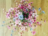 Types Of Floral Arrangements Worksheet Also 10 Tips for Stunning iPhone Flower Graphy