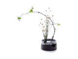 Types Of Floral Arrangements Worksheet Also the Basics Ikebana – Surely Simple