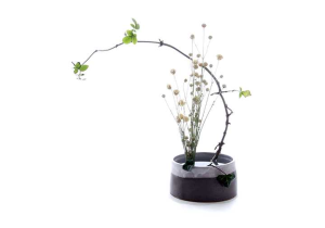 Types Of Floral Arrangements Worksheet Also the Basics Ikebana – Surely Simple