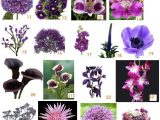 Types Of Floral Arrangements Worksheet and 23 Best Flower Names Images On Pinterest
