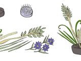 Types Of Floral Arrangements Worksheet as Well as How to Do A Very Basic Ikebana Flower Arrangement the Secret