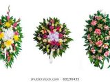 Types Of Floral Arrangements Worksheet together with Funeral Flowers Stock S & Vectors