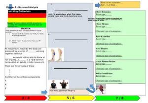 Types Of Levers Worksheet Answers Along with Aqa Gcse Pe Chapter 2 Movement Analysis Levers Learning Mat by