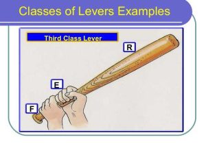 Types Of Levers Worksheet Answers Also Levers