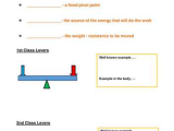 Types Of Levers Worksheet Answers and Gcse Pe Levers and Movement by Helen tonks Teaching Resources Tes