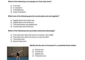 Types Of Levers Worksheet Answers as Well as Gcse Pe Levers and Movement by Helen tonks Teaching Resources Tes