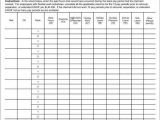 Understanding Patterns Of Settlement Worksheet Answers and Revised Back Pay forms