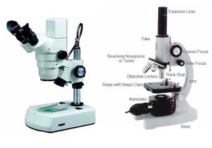 Using A Compound Light Microscope Worksheet Along with Microscopy Chapter 6 Objectives to Be Able to Describe the Light
