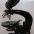 Using A Compound Light Microscope Worksheet or How to Use A Pound Microscope to Study Cells