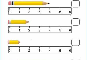 Using A Metric Ruler Worksheet Also 20 Unique Printable Metric Ruler
