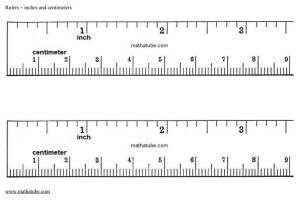 Using A Metric Ruler Worksheet Also 92 Free Printable Rulers In Actual Size