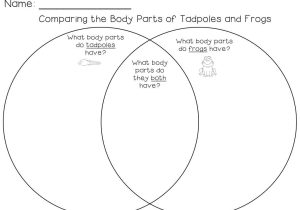 Venn Diagrams Worksheets with Answers as Well as Ideas for A Life Cycles Unit Learning at the Primary Pond