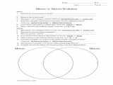 Venn Diagrams Worksheets with Answers as Well as Mitosis Vs Meiosis Venn Diagram Unique Mitosis and Meiosis V