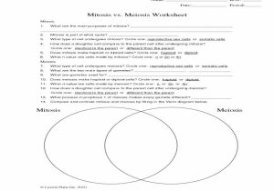 Venn Diagrams Worksheets with Answers as Well as Mitosis Vs Meiosis Venn Diagram Unique Mitosis and Meiosis V