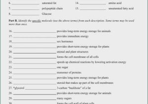 Virtual Lab Enzyme Controlled Reactions Worksheet Answers or Enzyme Worksheet