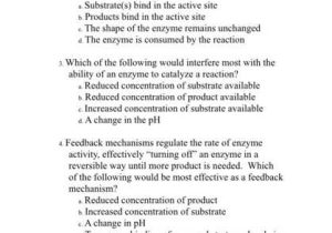Virtual Lab Enzyme Controlled Reactions Worksheet Answers together with Biology Archive June 21 2017