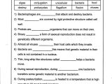 Virus and Bacteria Worksheet Answer Key Along with Genetic Pedigree Worksheet the Best Worksheets Image Collection