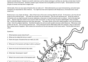 Virus and Bacteria Worksheet Answer Key Also Viruses Worksheet Answer Key Biology Binder