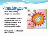Virus and Bacteria Worksheet Answers Along with Antiviral S Ppt