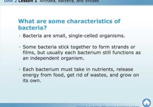 Virus and Bacteria Worksheet Answers Also 10 Characteristics Of Bacteria Bing Images