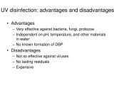 Virus and Bacteria Worksheet Answers and Disadvantages Of Bacteria Essays Advantages Microbiolog