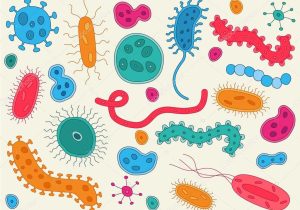 Virus and Bacteria Worksheet Answers together with Images