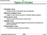 Virus and Bacteria Worksheet Answers with Types Of Malware Virus Bing Images