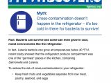 Virus and Bacteria Worksheet as Well as Just the Facts Food Safety Worksheet Answers
