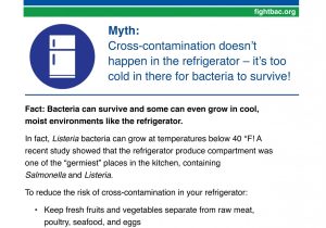 Virus and Bacteria Worksheet as Well as Just the Facts Food Safety Worksheet Answers