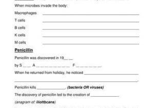 Virus and Bacteria Worksheet Key as Well as Micro organisms 4 the Immune System Powerpoint Videos