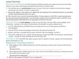 Virus and Bacteria Worksheet Key as Well as Worksheets 43 Fresh Dna Replication Worksheet Answers Full Hd