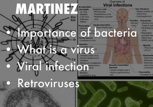 Viruses Bacteria Worksheet or Chapter 19 by Jojo Perry