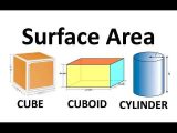 Volume Of A Cylinder Worksheet Also Surface area Of Cube Cuboid and Cylinder Surface area and Volumes
