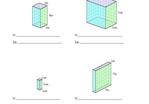 Volume Rectangular Prism Worksheet Answers Also 101 Best Wiskunde Images On Pinterest
